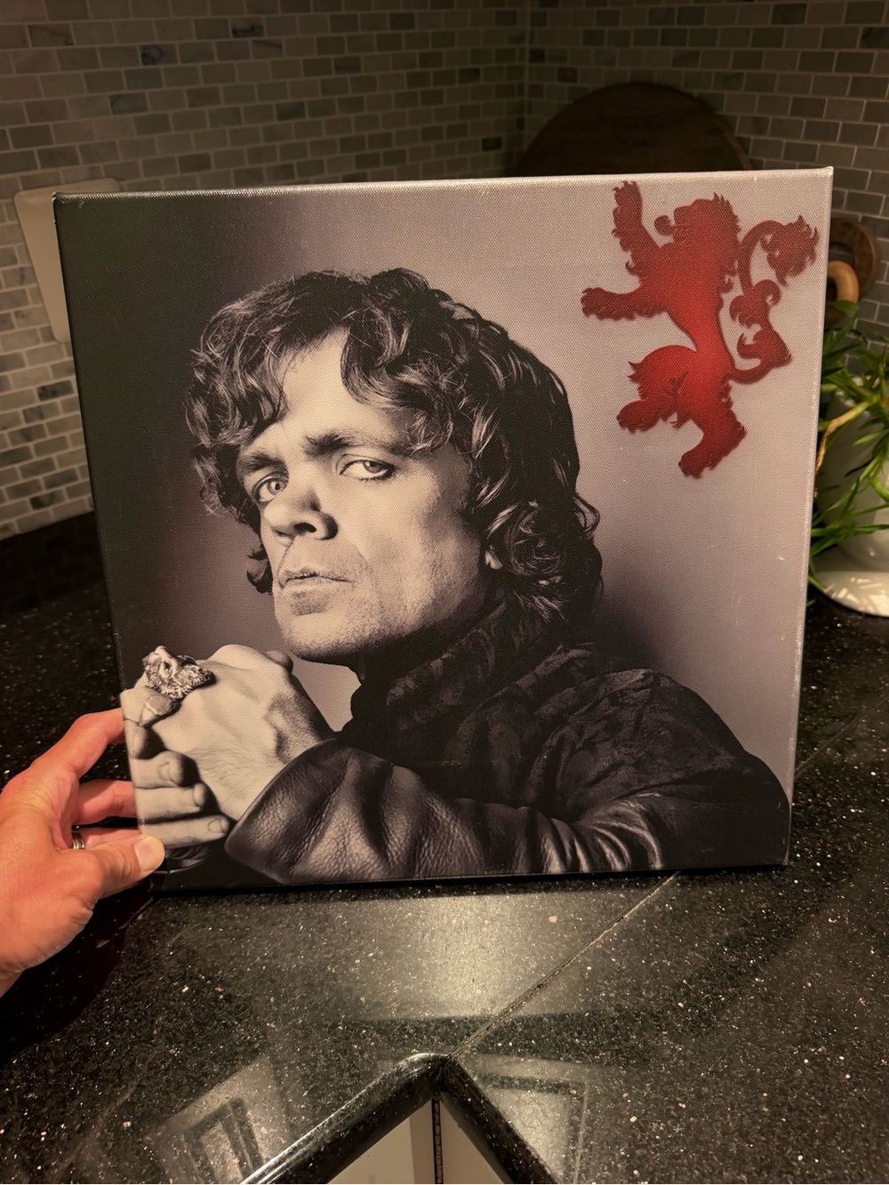 Peter Dinklage as Tyrion Lannister Mounted Photo Art 14x14 - Game of Thrones
